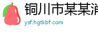 铜川市某某消防设备业务部